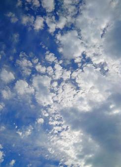 ウロコ雲混じりの青空の写真