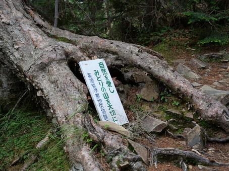 仙丈ヶ岳の自然愛護看板 仙丈ヶ岳の自然愛護看板 仙丈ケ岳,道標,南アルプスの写真素材