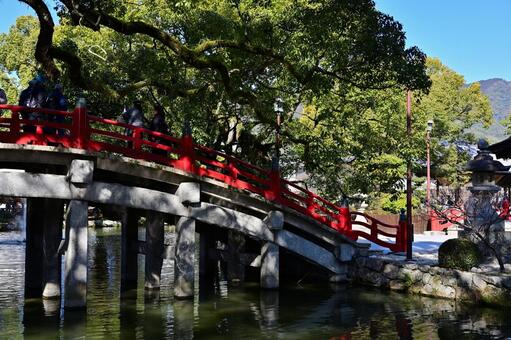 太鼓橋 太鼓橋,橋,神社の写真素材