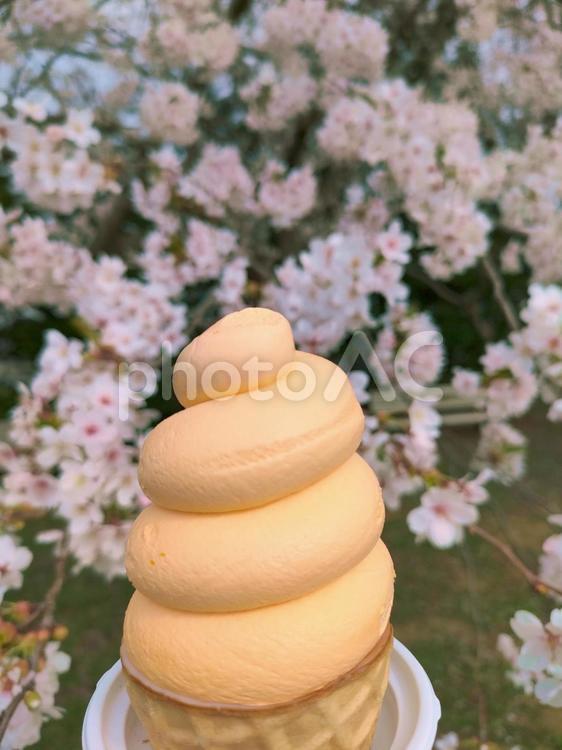 メロンソフトと桜 メロンソフト,メロン,ソフトクリームの写真素材