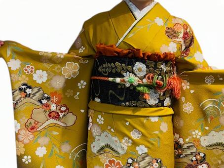 からし色の振袖 振袖,成人式,20歳の写真素材