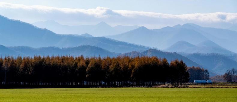 日高山脈を背景に佇むカラマツ林 日高山脈,山脈,カラマツの写真素材