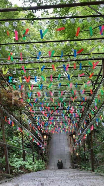 かえる寺（如意輪寺）風鈴祭り 如意輪寺,風鈴祭り,風鈴の写真素材