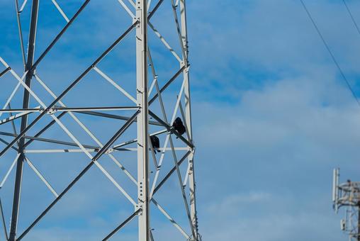鉄塔で羽を休めるカラスのカップル 鉄塔で羽を休めるカラスのカップル カラス,野鳥,鳥の写真素材