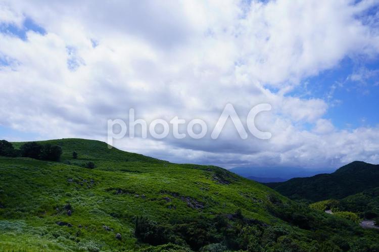 自然の風景 自然,平尾台,風景の写真素材