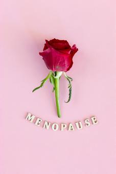 「MENOPAUSE」の文字と薔薇 生理,月経,menopauseの写真素材