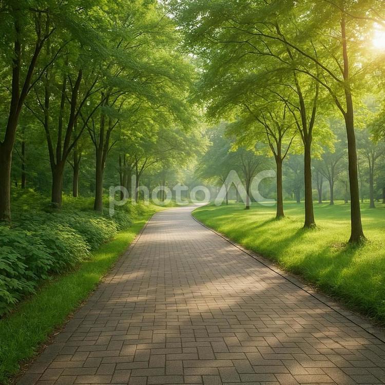 公園の遊歩道 - No: 33592238｜写真素材なら「写真AC」無料（フリー）ダウンロードOK