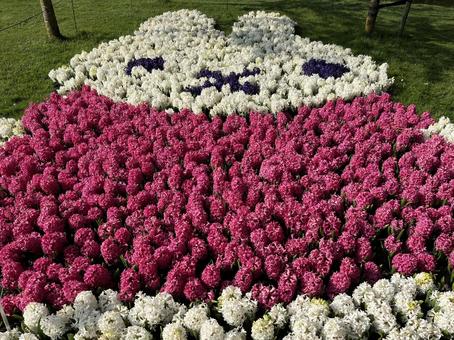 キューケンホフ公園の写真