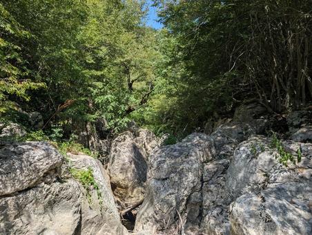水がない川 水がない川の写真