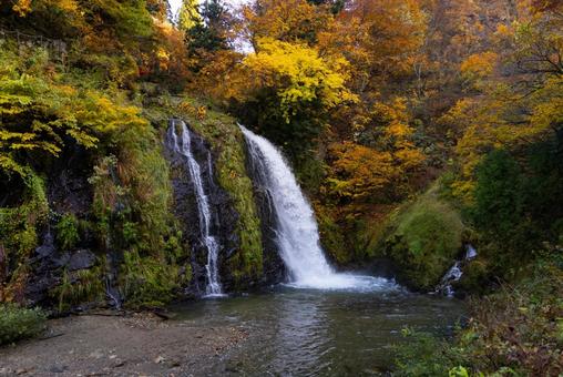 紅葉の滝 滝,紅葉,秋の写真素材