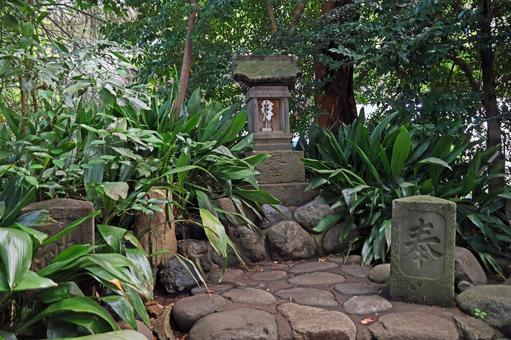 氷川町氷川神社(板橋) 氷川町氷川神社(板橋)の写真