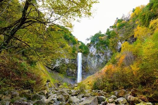 紅葉に包まれた 秋の平湯大滝 紅葉に包まれた 秋の平湯大滝 の写真