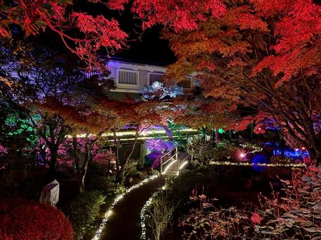 越前陶芸村　陶あかり　福井県陶芸館 福井県陶芸館,幽石庭,灯火の写真素材