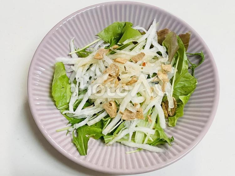 大根とレタスと水菜のサラダ サラダ,大根,レタスの写真素材