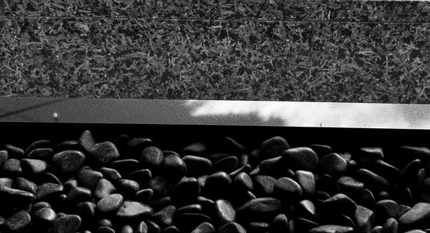 モノクロ自然風景 風景,自然,モノクロの写真素材