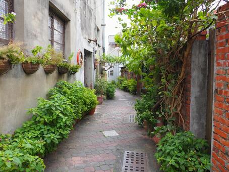 台湾 台南 安平老街7 台湾,台南,安平の写真素材