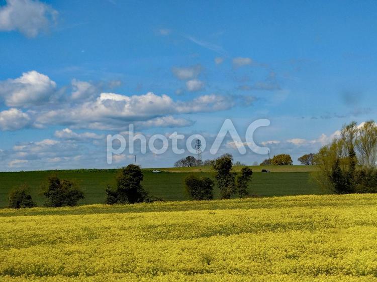 車窓の風景 黄色,青空,風景の写真素材