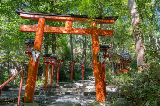 京都 貴船神社 中宮 鳥居 京都 貴船神社 中宮 鳥居 貴船神社,貴船,神社の写真素材