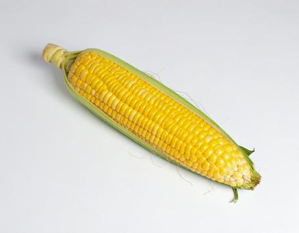 とうもろこし 1 とうもろこし 1の写真