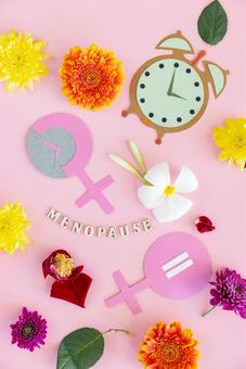 「MENOPAUSE」の文字と花と紙でできた雌記号と時計 生理,月経,menopauseの写真素材