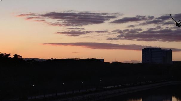 Photo, osaka, winter, landscape, 