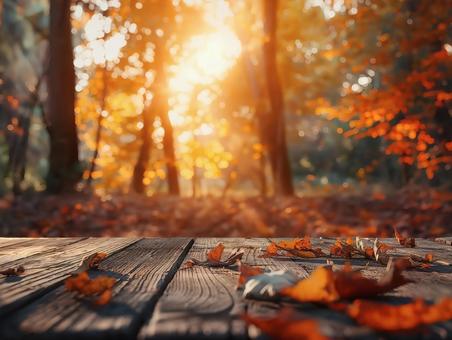 夕日に染まる秋の落ち葉と木のウッドデッキの写真