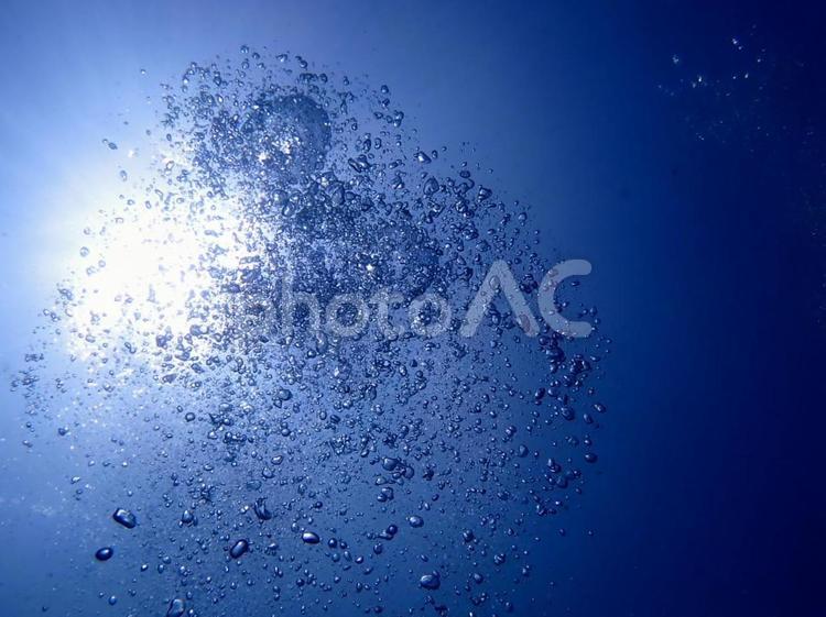 泡を見上げる 海,泡,気泡の写真素材