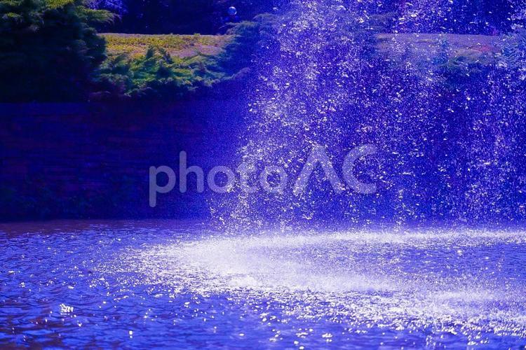 日本の風景 風景,花,きれいの写真素材