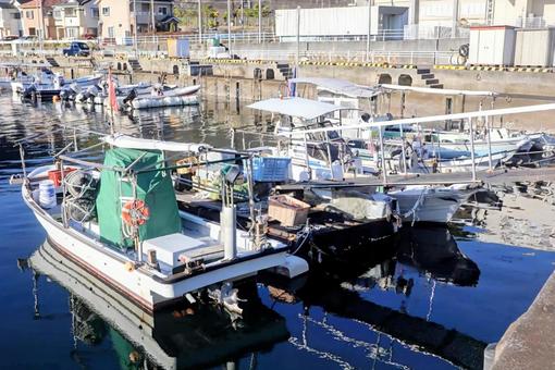魚を待っている 漁港,漁船,海の写真素材