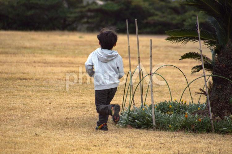 ＜人物＞公園を駆け回る男の子の風景 子供,公園,走るの写真素材
