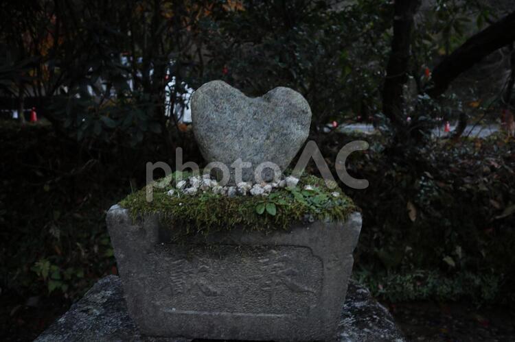 御岩神社　参道のハート石 御岩神社,ハート,日立市の写真素材