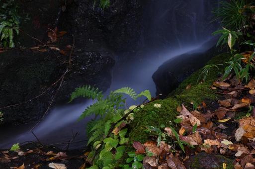 紅葉と滝 紅葉,札幌,北海道の写真素材
