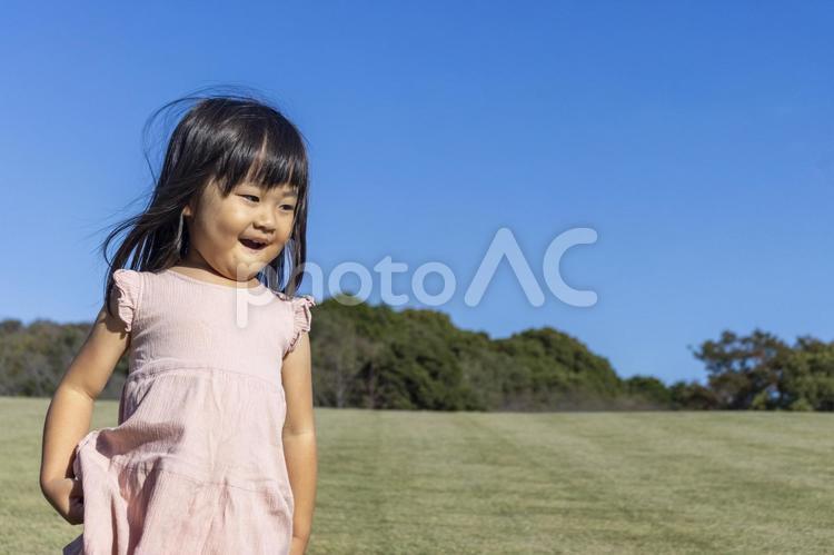 芝生の公園を歩く女の子（3歳、日本人） 女の子,遊ぶ,散歩の写真素材
