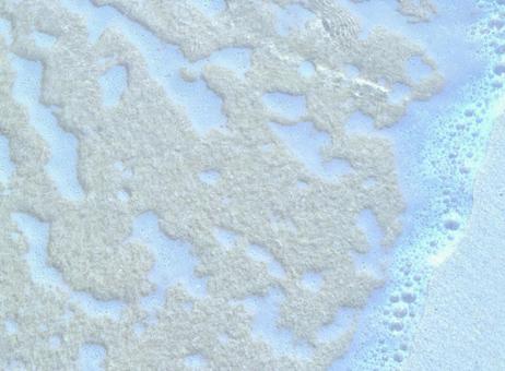 秋のビーチ 秋のビーチ 秋,海辺,海の写真素材