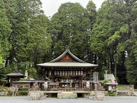 新宮寺・滋賀県信楽郷の一の宮 新宮寺・滋賀県信楽郷の一の宮 新宮寺,神社,滋賀県の写真素材
