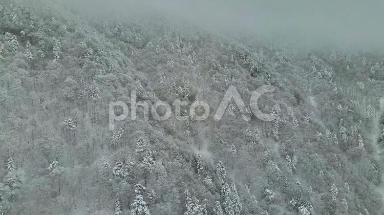 冬の奈良県みたらい渓谷 冬,山,雪景色の写真素材