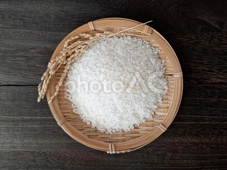 お米と稲穂_焦茶木目バック_10 秋,秋の味覚,新米の写真素材