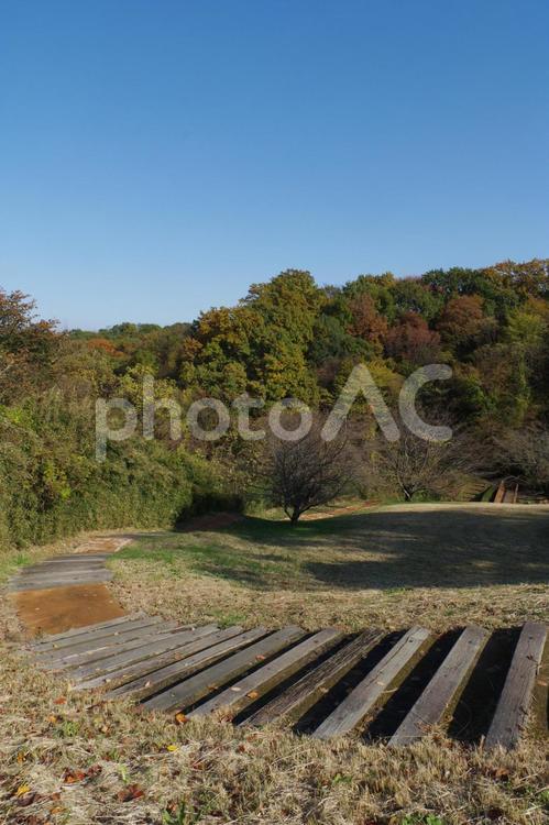 カーブを描いて降りていく木製の階段（都立長沼公園・11月） 都立公園,公園,秋の写真素材