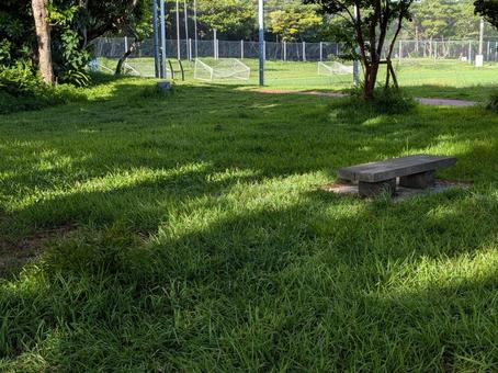 木陰 公園 ベンチ 木陰 公園 ベンチの写真