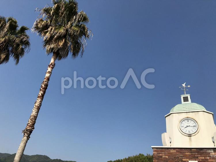 ヤシの木と恋人の鐘 旅,空,木の写真素材