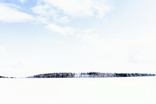 雪原に並ぶ林、イメージ処理 雪原に並ぶ林、イメージ処理の写真