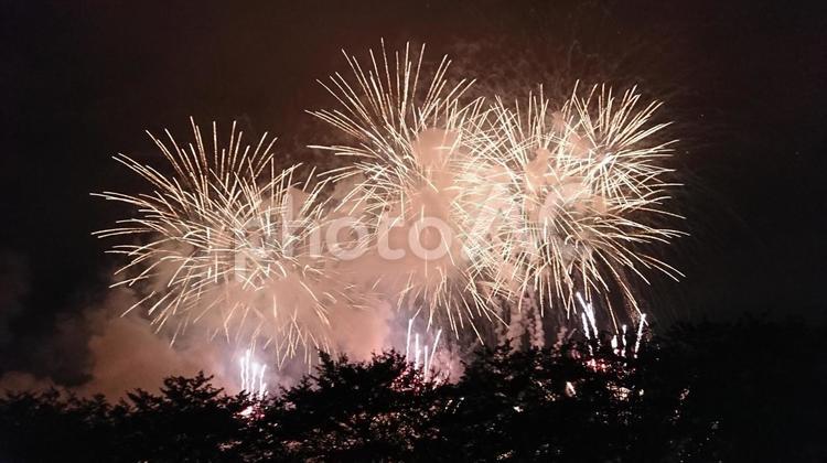 神奈川県で撮影した花火の写真 花火,祭り,綺麗の写真素材