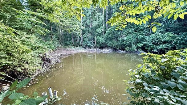 山奥のため池 山奥のため池 池,沼,水たまりの写真素材