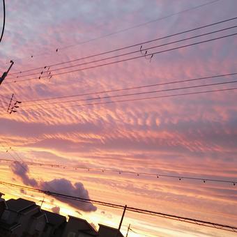 夕焼け 夕焼けの写真