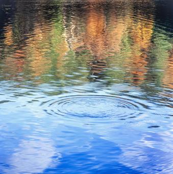 紅葉と波紋、水紋15 紅葉と波紋、水紋15 紅葉,秋,枯葉の写真素材