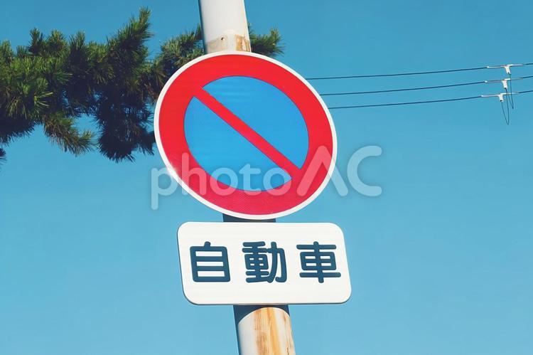 日本の標識　自動車駐車禁止 道路標識,駐車禁止,自動車の写真素材