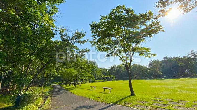 朝の北部公園（金沢市）：31 公園,春,夏の写真素材