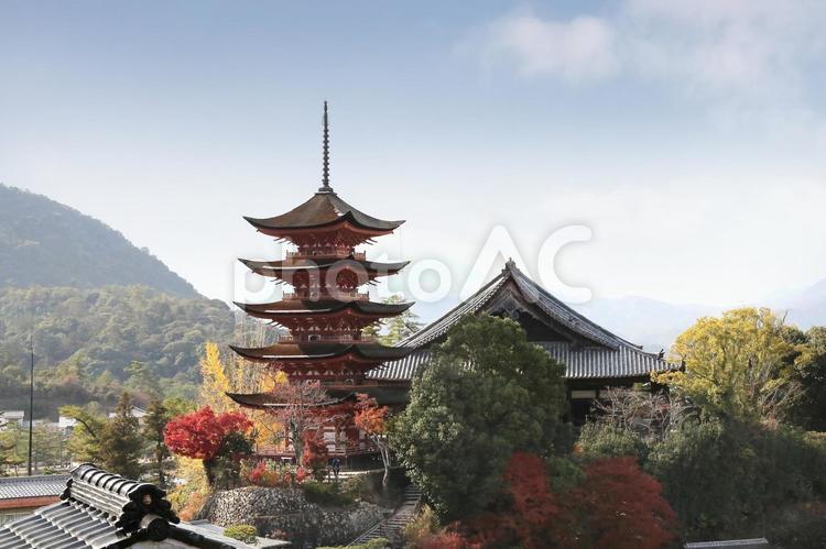 秋の宮島、厳島神社五重塔 世界遺産,社殿,海からの写真素材