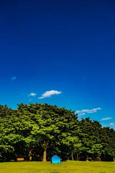 公園:青空と雲 公園:青空と雲の写真