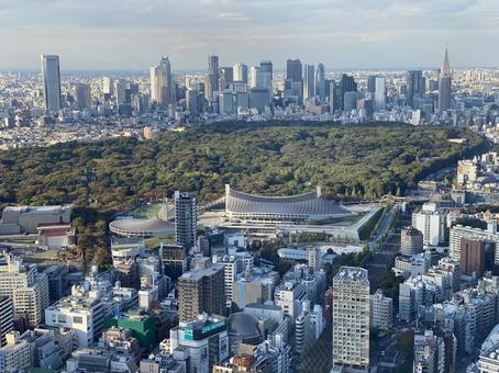 東京 東京の写真